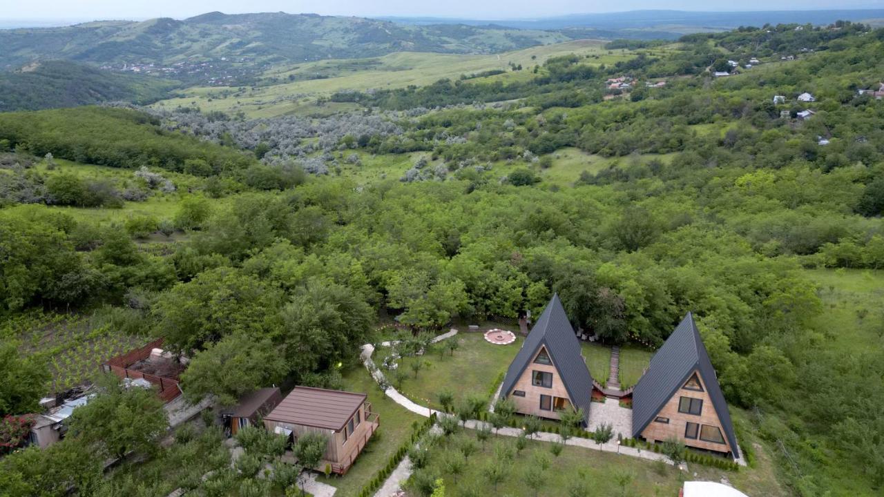 Arta Chalet